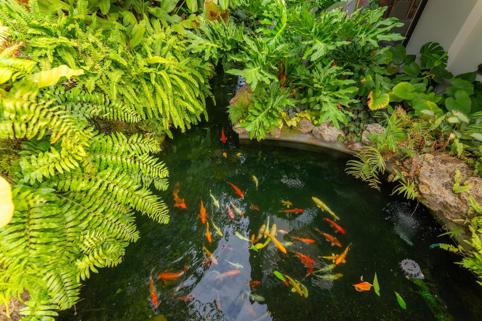 Verbena Chiangmai Chiang Mai Exteriör bild